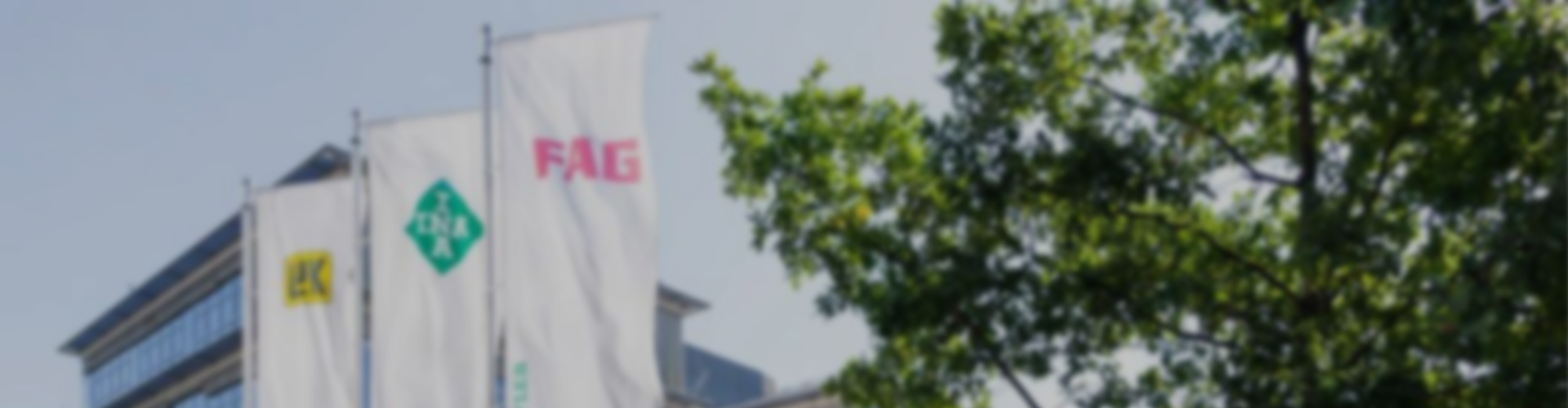 Product  /  FAG Bearingsbanner